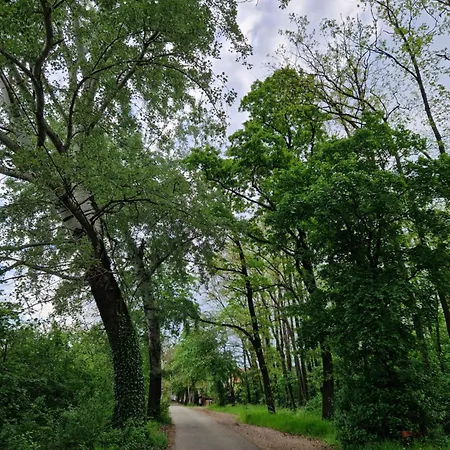 Elbujtat-lak Vendeghaz Gyoparosfuerdo * 欧罗什哈佐